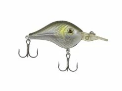 Best deal 🌟 Livingston Lures Shredder ✨