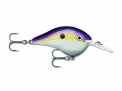 New 👏 Rapala DT Series ⭐