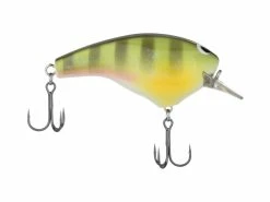 Best deal 👍 Shimano Macbeth Big 😉