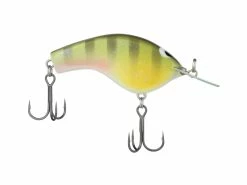 Top 10 🌟 Shimano Macbeth Flat 🎁