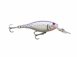 Wholesale 🔥 Vexan LIL-Super Cisco 👏