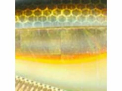 Best deal 🥰 Yo-Zuri 3DB Vibe 👏