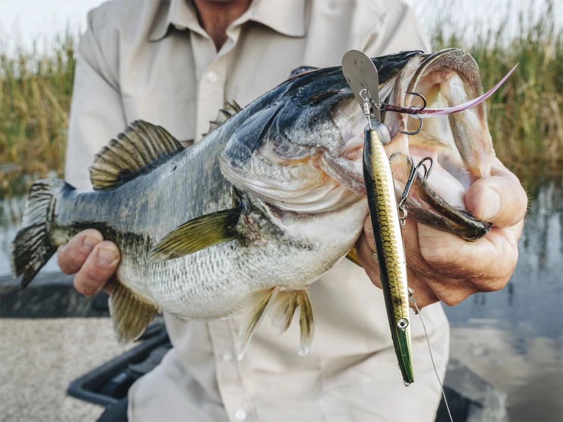 Flash Sale β Z-Man Hellraizer π - Image 3