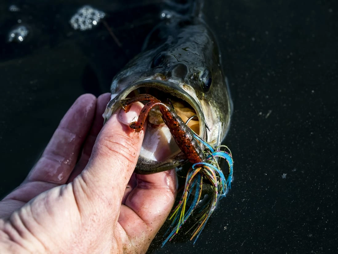 Cheap โจ Z-Man Midwest Finesse Swim Jig ๐ - Image 3