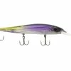 Flash Sale 🛒 13 Fishing Whipper Snapper Jerkbait 🎉