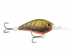 Flash Sale 👍 13 Fishing Cliff Banger 🎉