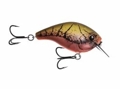 Top 10 💯 13 Fishing Scamp 🔥