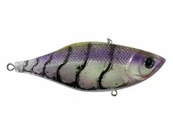 Top 10 🥰 Balista Juggernaut ✨