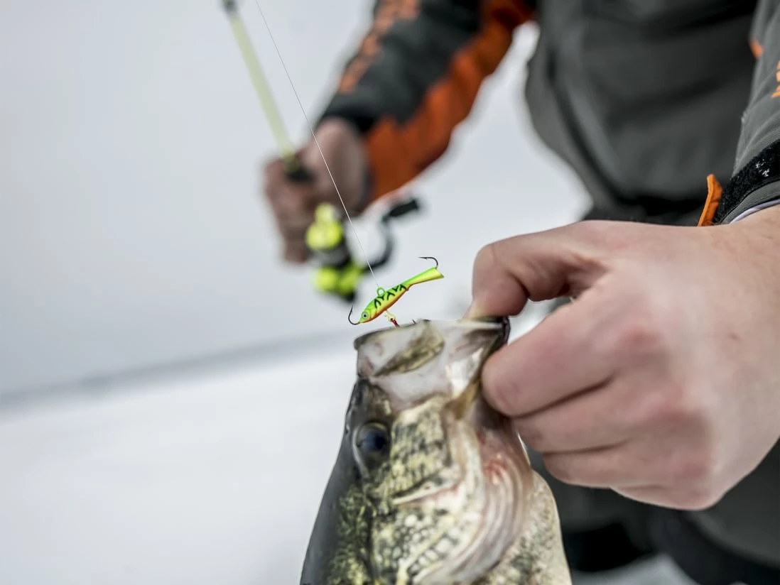 Best deal 🌟 Clam Tikka Mino ✔️ - Image 2