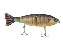 Outlet ⌛ Googan Squad Contender 🎁