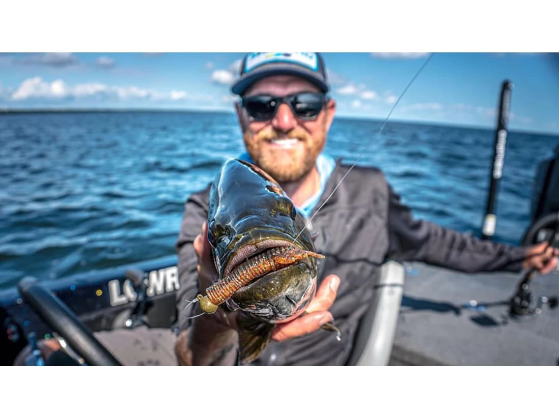 Discount βοΈ 10,000 Fish Sukoshi Bug 𧨠- Image 5