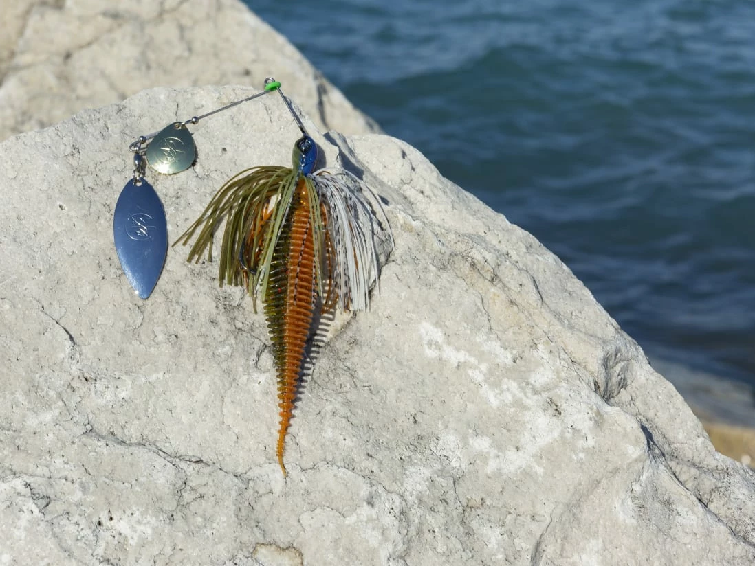 Best deal 🤩 10,000 Fish Yoto Worm 🥰 - Image 4